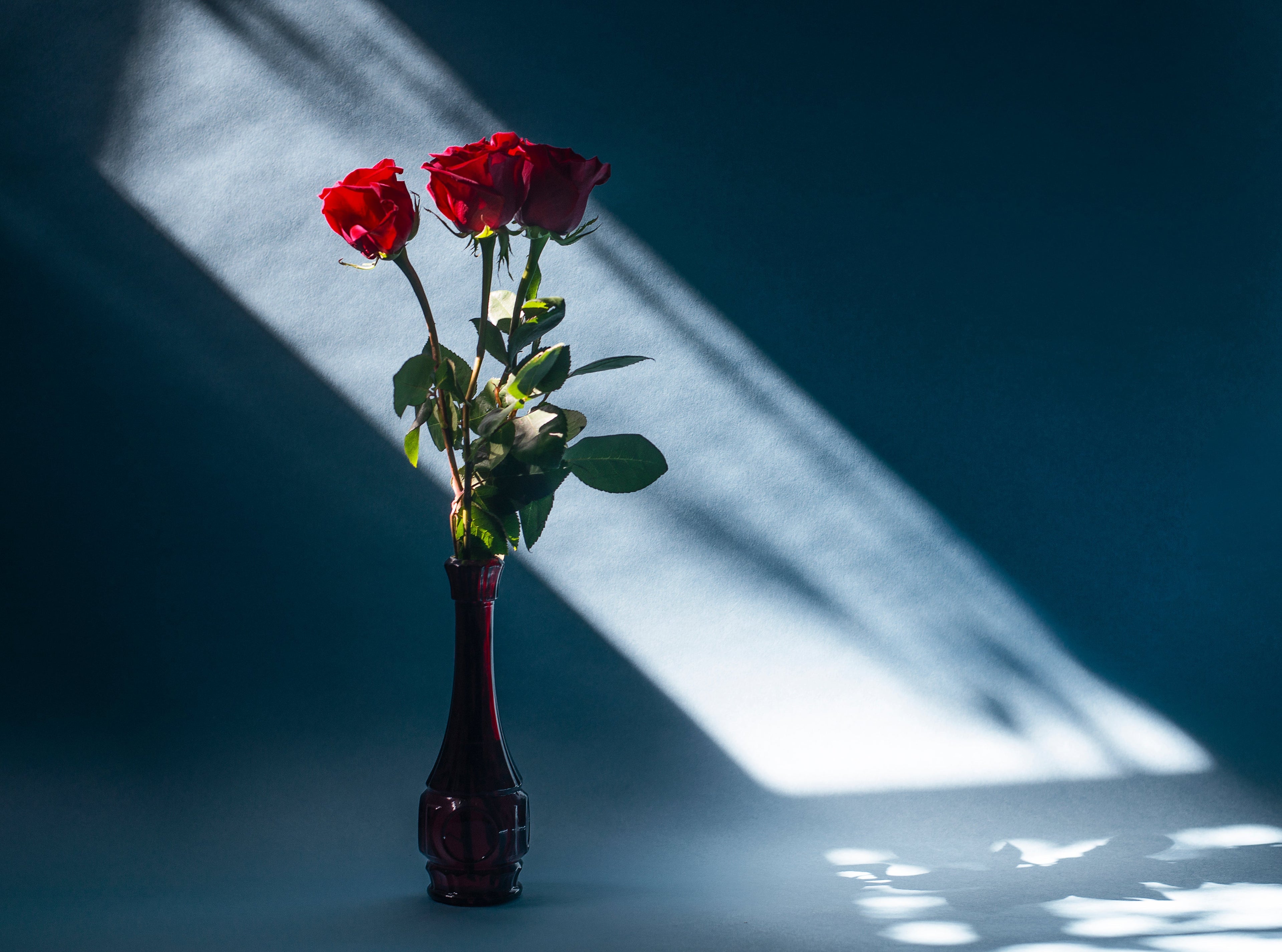 Hormones & Sexual Health